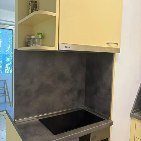 Apartment Apartsofiamusagenica Sofia